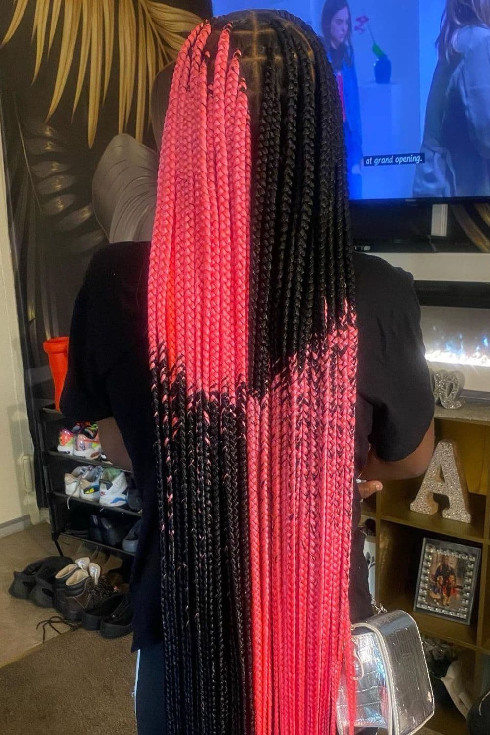 A person with black and pink two-toned braids.