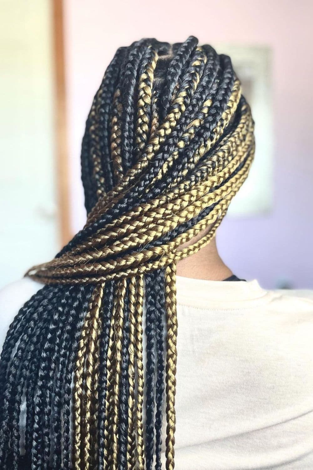 Back of a person with gold and black box braids.