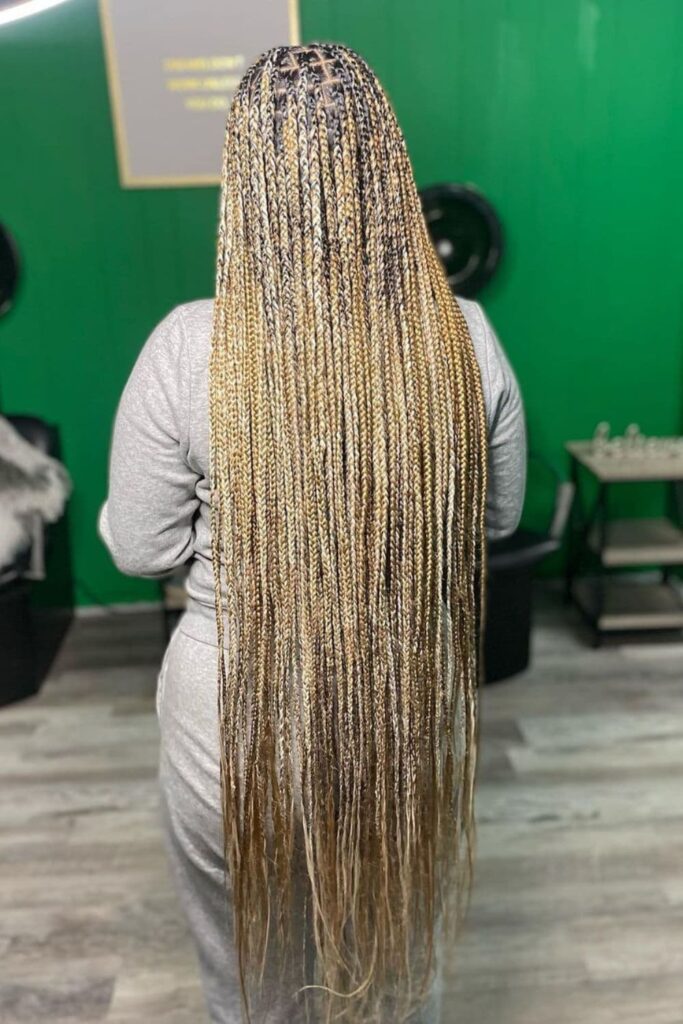 25 Trendy Looks For Mixed Blonde Knotless Braids in 2023 | Lookosm