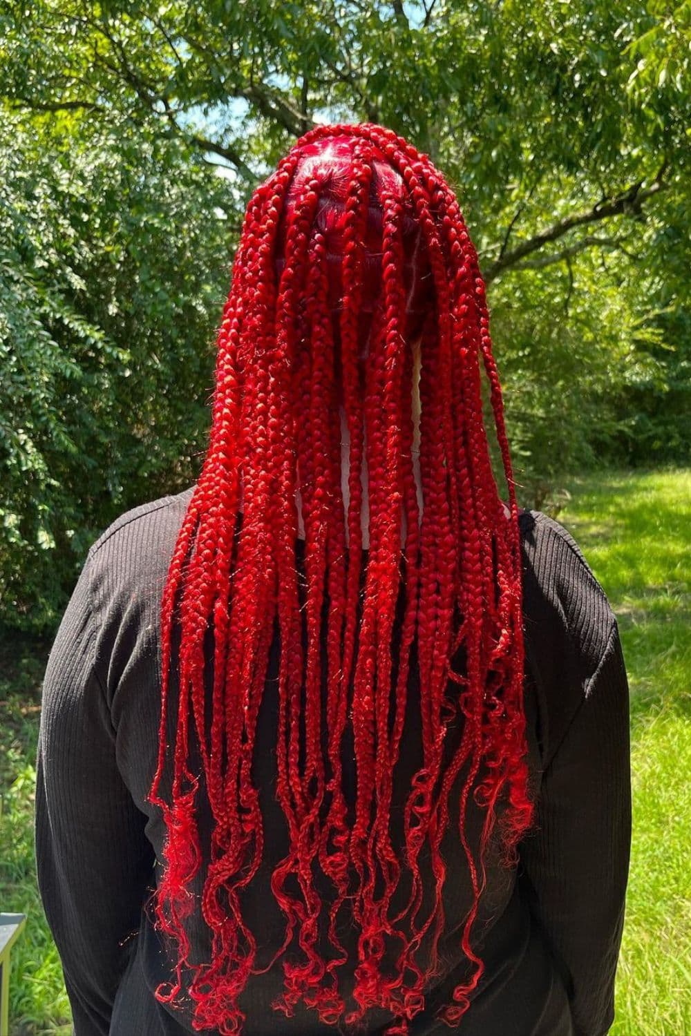 A woman's back with red medium knotless braids with curly ends.