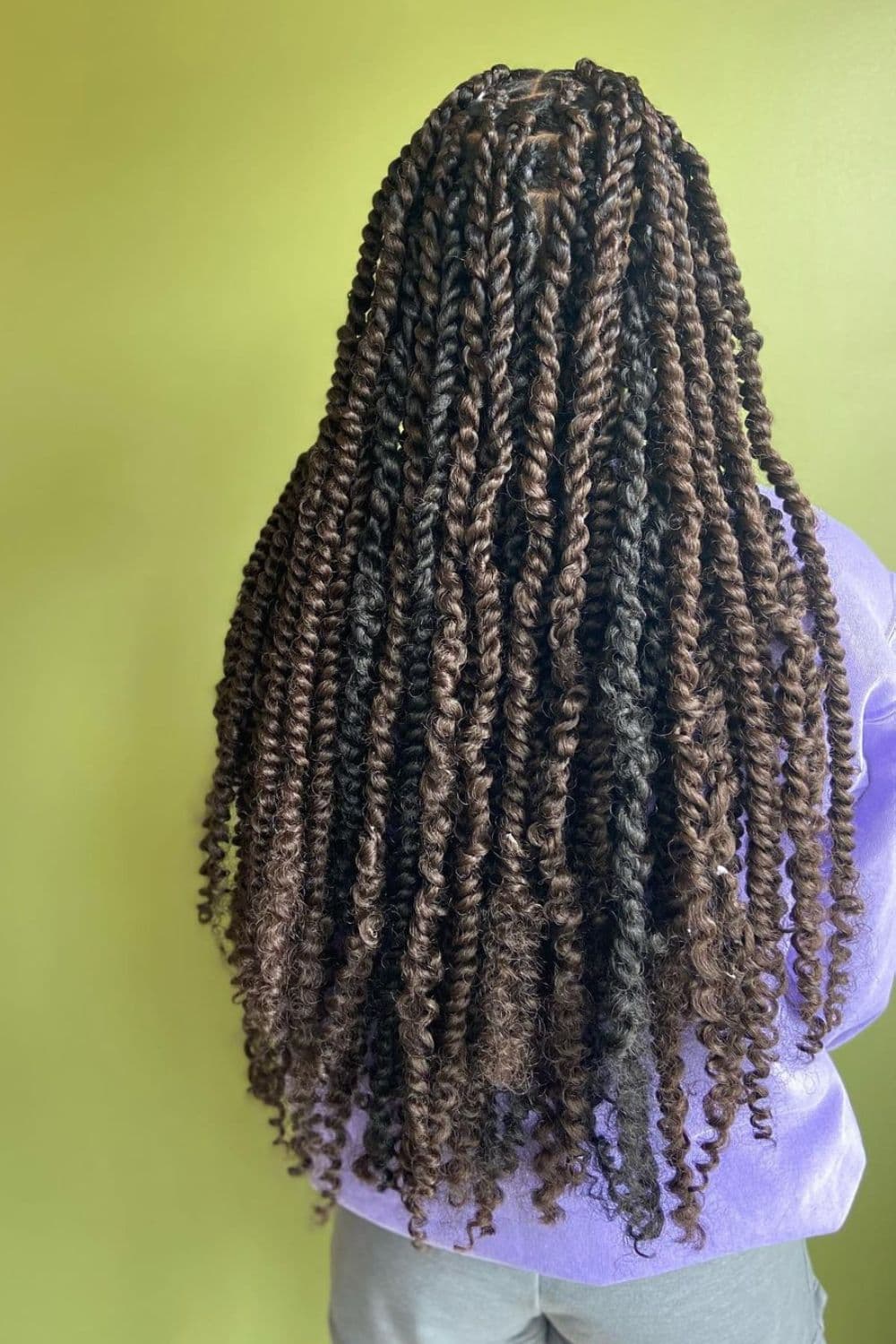 Back of a woman with two-tone long passion twists.